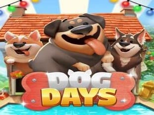 Dog Days thumbnail
